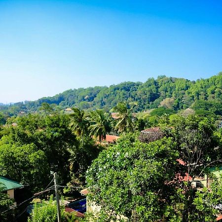 Freedom Lodge, Kandy Exteriör bild